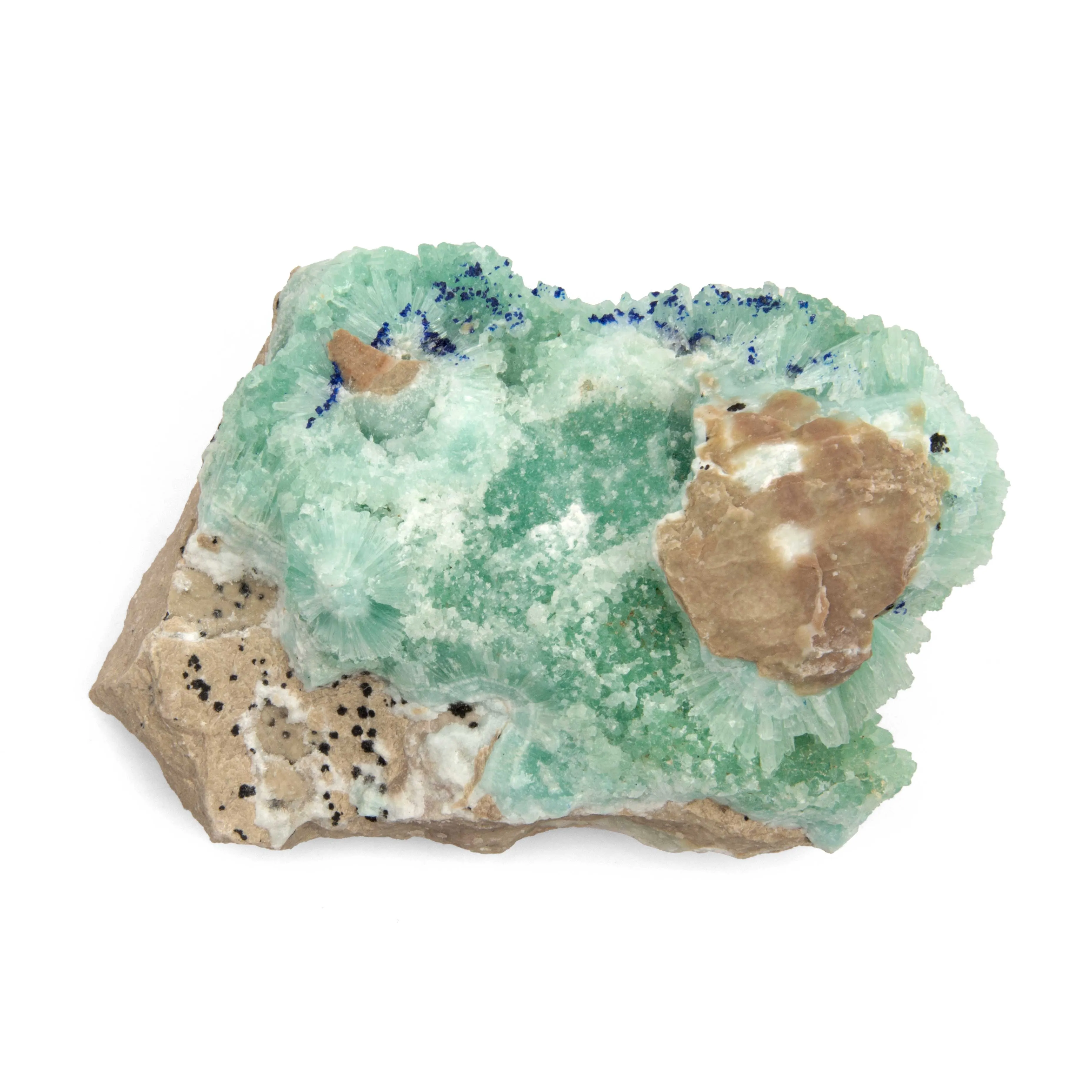 Aragonite w/ Azurite - Blue, Rough