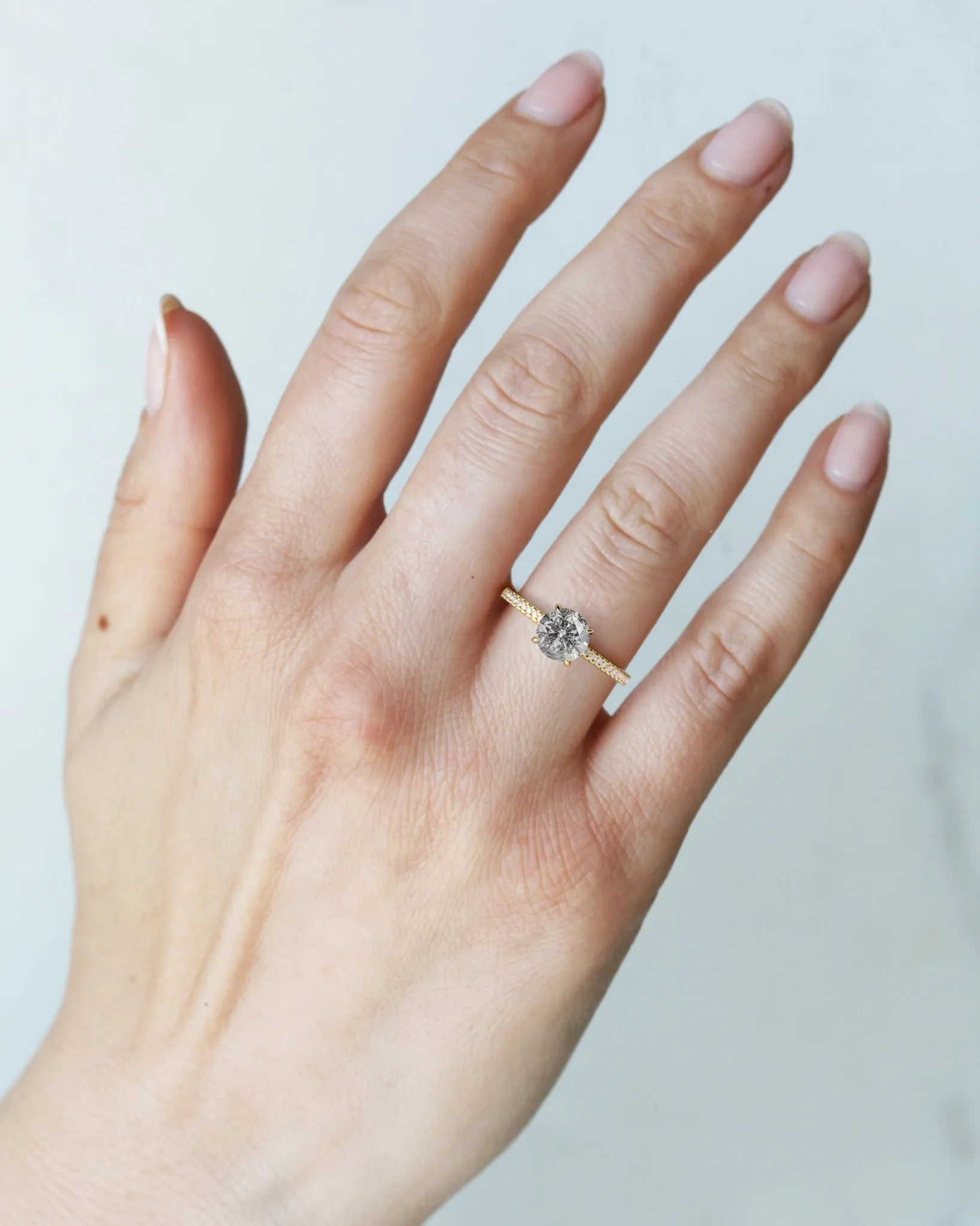 Round Full Pave Salt & Pepper Diamond Ring