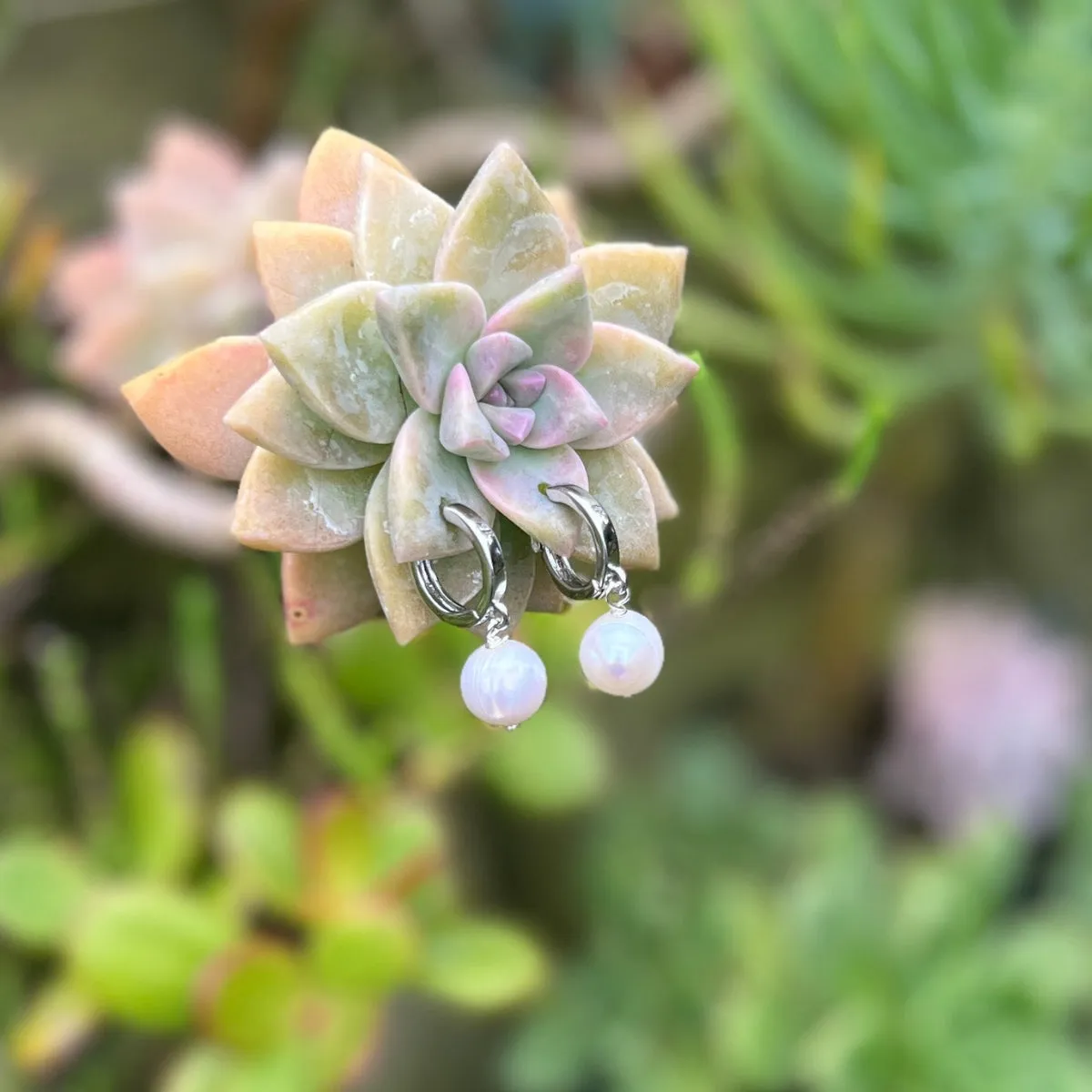 White Pearl Classic Elegance Earrings - Silver